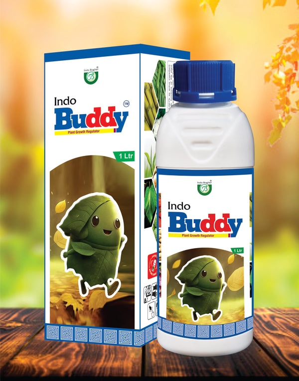 Indo Buddy